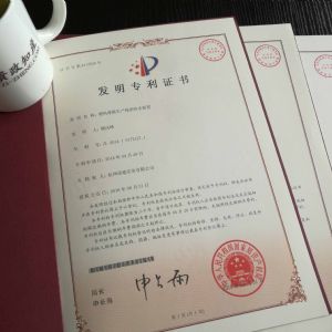 專利轉讓合同審核摘要