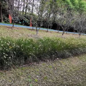 技術領域對于實用新型創造性判定的影響