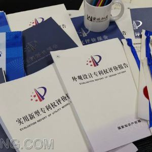 專利報告或鑒定意見為什么不能作為法院定案依據
